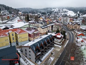 Prodej, byty/1+kk, 64.69 m2, Javorská, Železná Ruda, Klatovy - 6