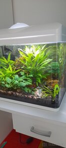 Akvarium 49l Easy tank - 6