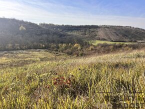 Prodej ovocného sadu přímo naproti mandľoňové stezce, Hustop - 6