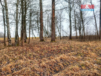 Prodej pozemku k bydlení v Staré Vodě, 2966 m2 - 6