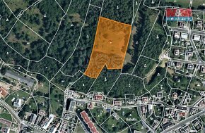 Prodej louky, 10154 m², Bohutín nad Moravou - 6