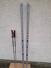 Běžky Völkl 210 cm SNS profil - 6