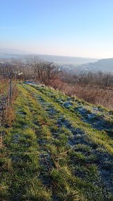 Prodej pozemku Pálava Pavlov Vinice Novomlýnské nádrže - 6