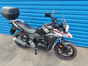 Suzuki DL 250 V-Strom ABS (2021) TOP stav, 9000km, SLEVA - 6