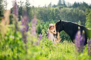 Klisna Welsh cob - 6