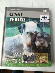 Kokršpaněl Briard Dalmatin irský setr český terier - 6