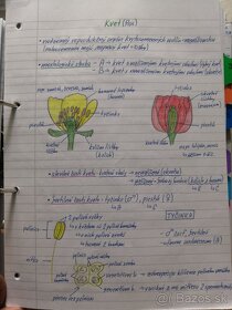 Biologie SŠ výpisky - 6