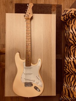 Stratocaster+telecaster - 6