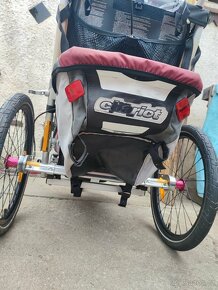 Thule Chariot CX1 - 6