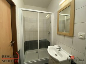 Pronájem, byty/1+1, 32 m2, 33023 Vochov, Plzeň-sever [ID 650 - 6