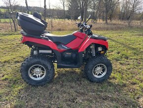 Arctic Cat Alterra 700 - 6