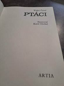 Ptáci - 6