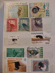 Tématická sbírka poštovních známek - pštrosy - 6