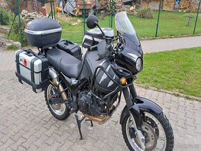 Triumph Tiger 955i - 6