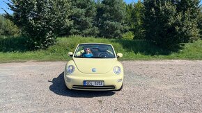 kabriolet - 6