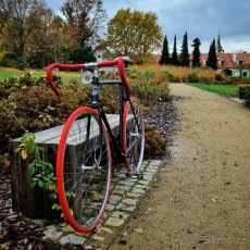 Silniční kolo Favorit single speed městské special - 6