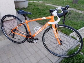 Prodám Specialized dolce 48 - 6