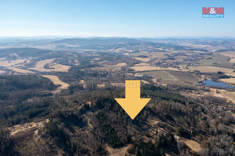 Prodej lesa, 7371 m², Mileč, okres Plzeň-jih - 6