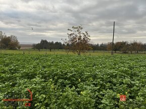 Prodej, pozemky/bydlení, 2724 m2, Zdětín, Prostějov [ID 6025 - 6