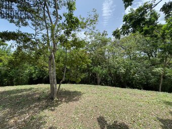 Lot 1 Bodden Bight Estate, Roatan - 6