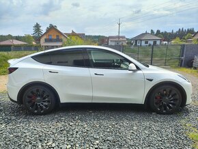 Tesla Model Y Performance - 6