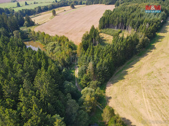 Prodej lesa, 1501 m², Kamenice nad Lipou - 6