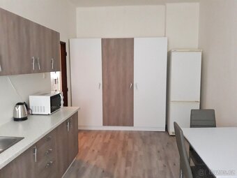 Pronájem bytu 1+1, Mladá Boleslav, centrum, 48m2, max 2 os. - 6