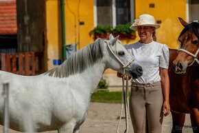 Užasná welsh mountain pony - 6