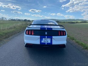 Ford Mustang 5.0 V8 manual, Shelby GT350R packet - 6