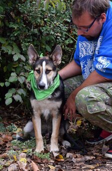 DOMINO K ADOPCI - 1 ROK, UČENLIVÝ,HODNÝ,ZVĚDAVÝ - 6