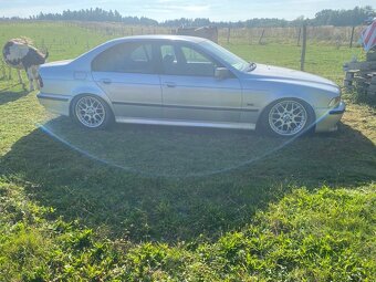 2 x Bmw e39 530d Manual/automat - 6