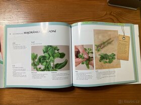 Kuchařky, různé knihy o vaření - 6