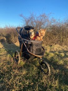 Kočárek pro psa do 23Kg PetBuggy - 6