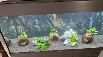 Akvarium Juwel 180l Šedé - 6