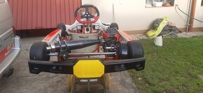 Motokara Birel ART EASYKART 60 - 7