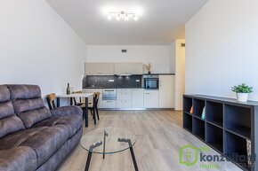 Pronájem byty 2+kk, 47 m2 - Brno - Staré Brno, ev.č. 00649 - 7