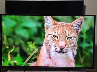 4K Smart TV Panasonic TX-50CX670E-úhlopříčka 127cm - 7