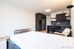 Pronájem bytu 1+kk, Šrámkové, Žižkov, 22500 Kč/měs, 36 m2 - 7