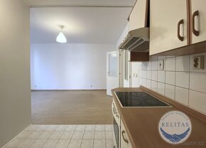 Pronájem bytu 1+1 49 m² s garážovým stáním, Praha 3, reziden - 7