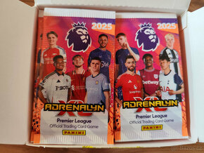 Panini Premier League 2024/2025 booster box - 7