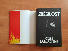 Colin Falconer - Zběsilost - 7