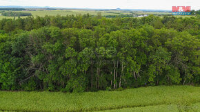 Prodej pole, 27000 m², Tuřany - 7