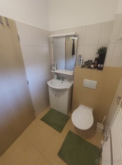 Pronájem bytu 2+kk 60m2 - 7