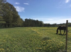 Ustájení pro koně a pony - 7