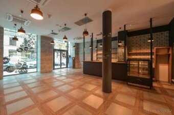 Pronájem komerčních prostor (678,45 m2) s terasou (40,96 m2) - 7