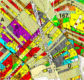 Prodej lesa,12334 m², Jevíčko - 7