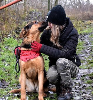 FIBI K ADOPCI - HODNÉ ZLATÍČKO, ZASLOUŽÍ SI MILUJÍCÍ RODINU - 7