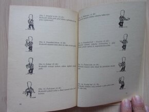 Pravidla ledního hokeje platná od 1.9.1968 - 7