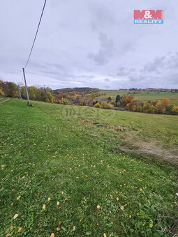 Prodej louky, 1787 m², Hynčina - 7