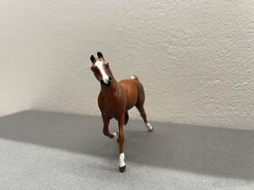 Breyer a Peter Stones - 7